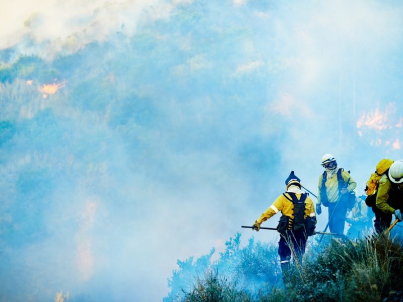 Smoke,,Firefighter,And,Men,In,Team,With,Emergency,,Disaster,Management