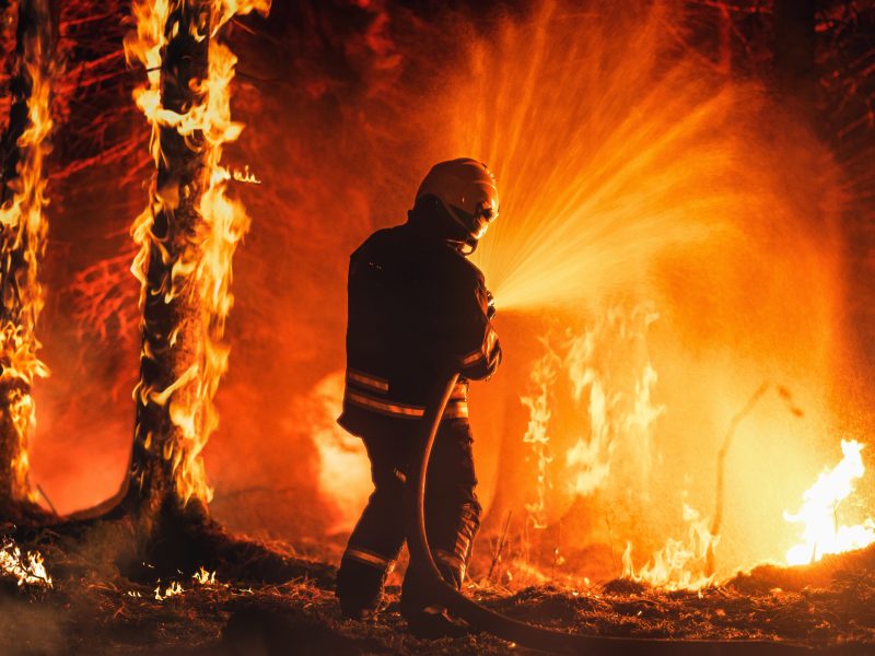 Professional,Firefighter,Extinguishing,Large,,High priority,Part,Of,The,Forest,Fire.